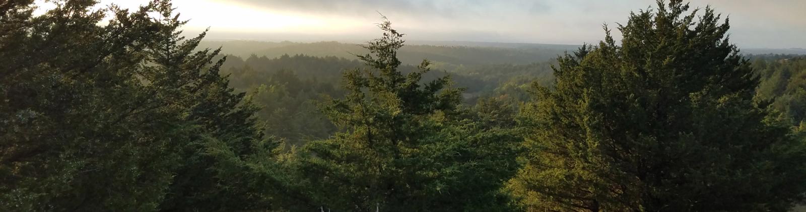 Impacts Valley of redcedar