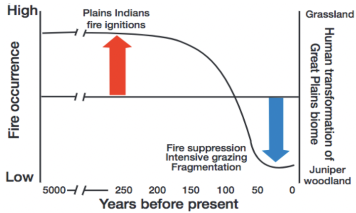 Figure 3. Human-induced fire ignitions shaped the Great Plains biome 