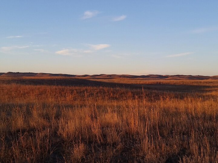 natural history photo of prairie