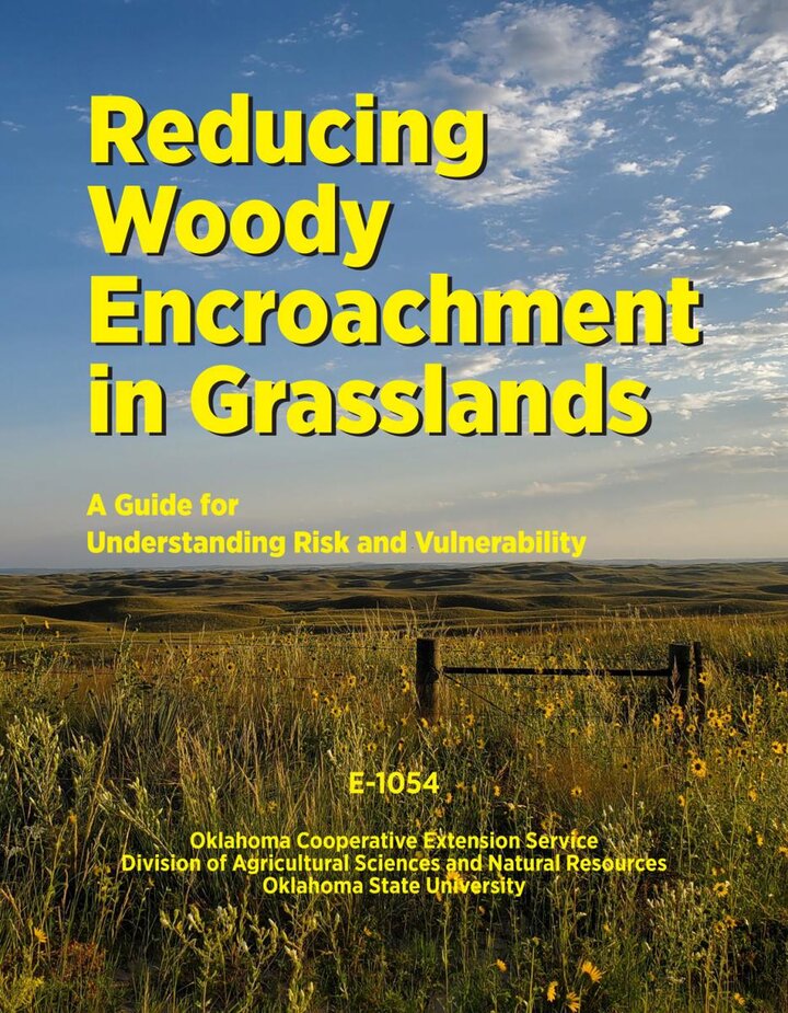 Vulnerability Guide for Reducing Woody Encroachment in Grasslands